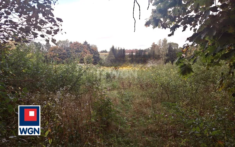 Dom na sprzedaż Wyłudy